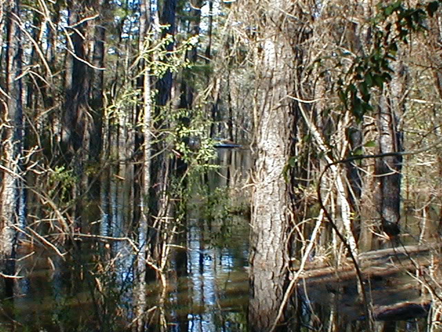 slideshow